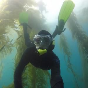 Meet your Posher, Sam